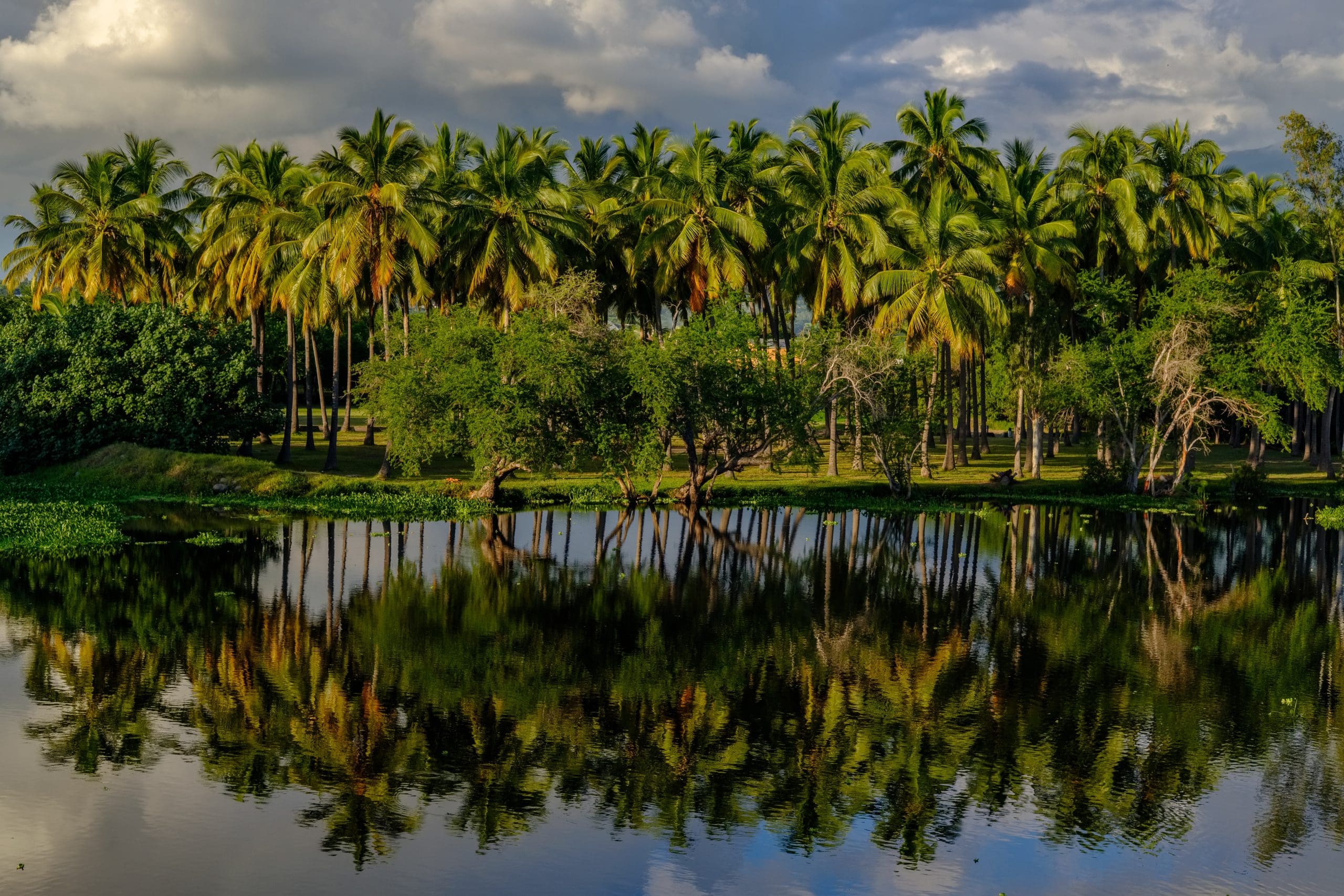 Etang Saint-Paul Nature Reserve