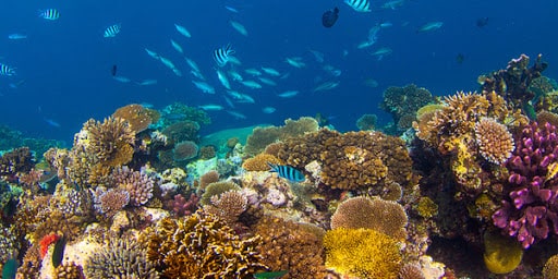 Marine Nature Reserve and underwater trail