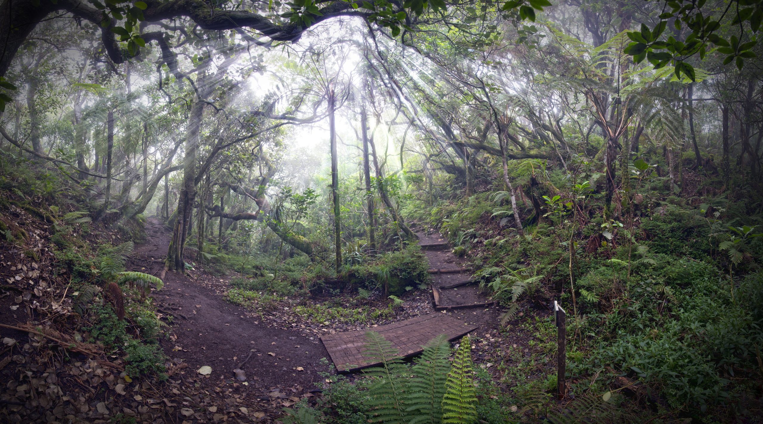 Notre-Dame de la Paix botanical trail