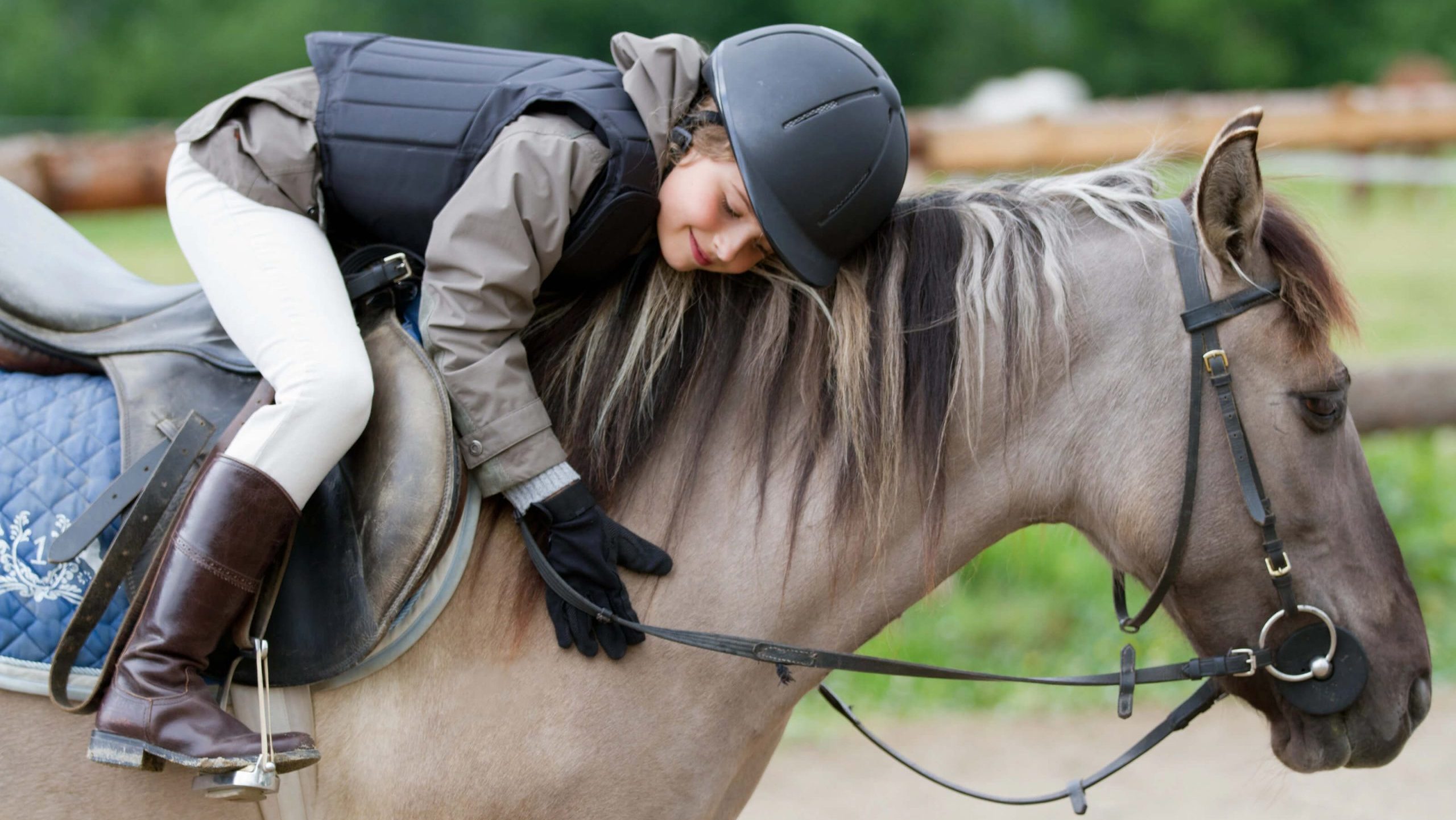 La Fenêtre Equestrian Center