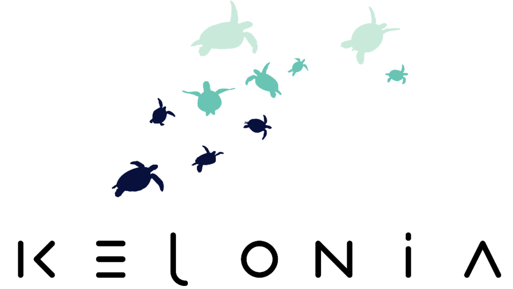 Kélonia, observatoire des tortues marines