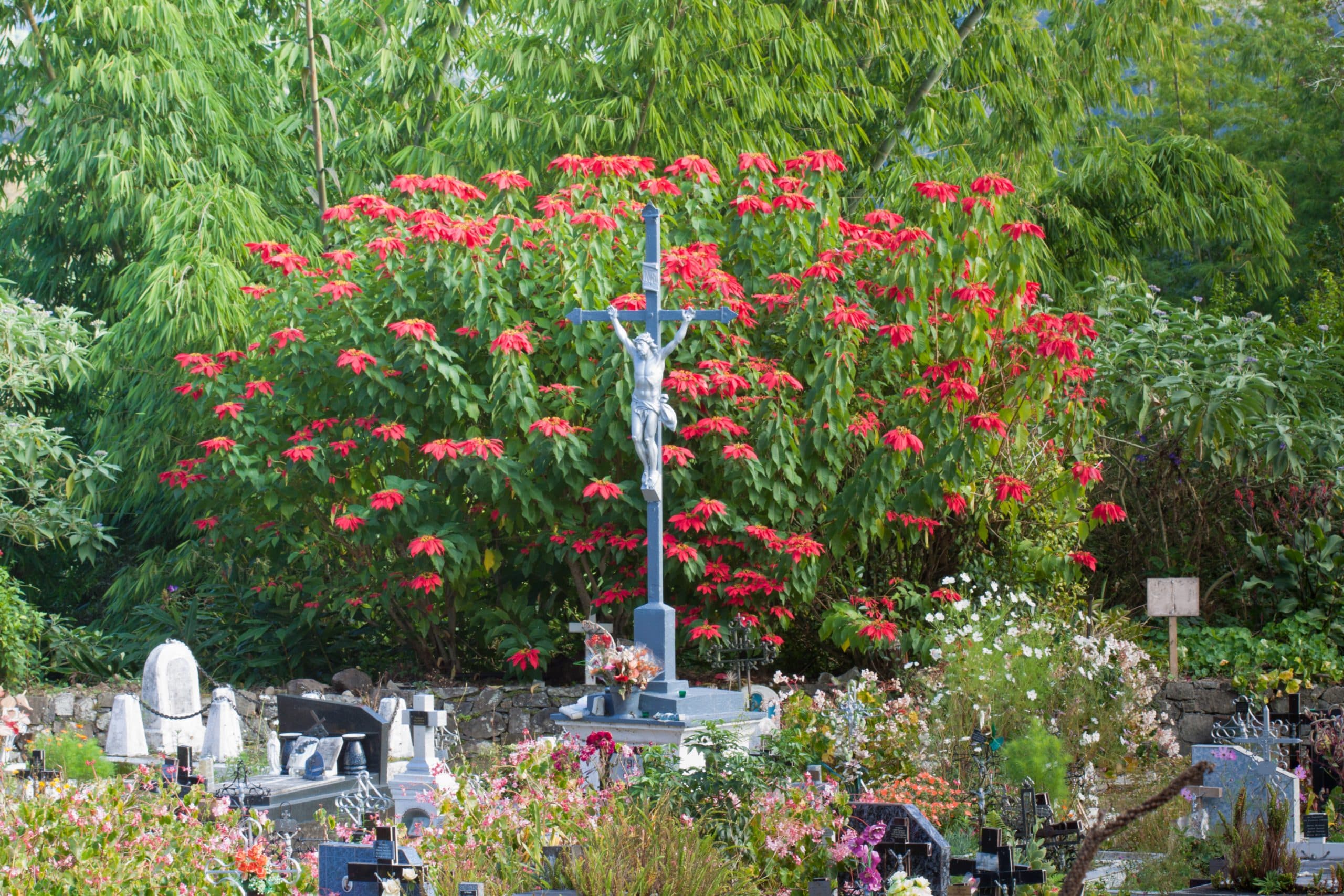Cimetière Paysager de Hell-Bourg