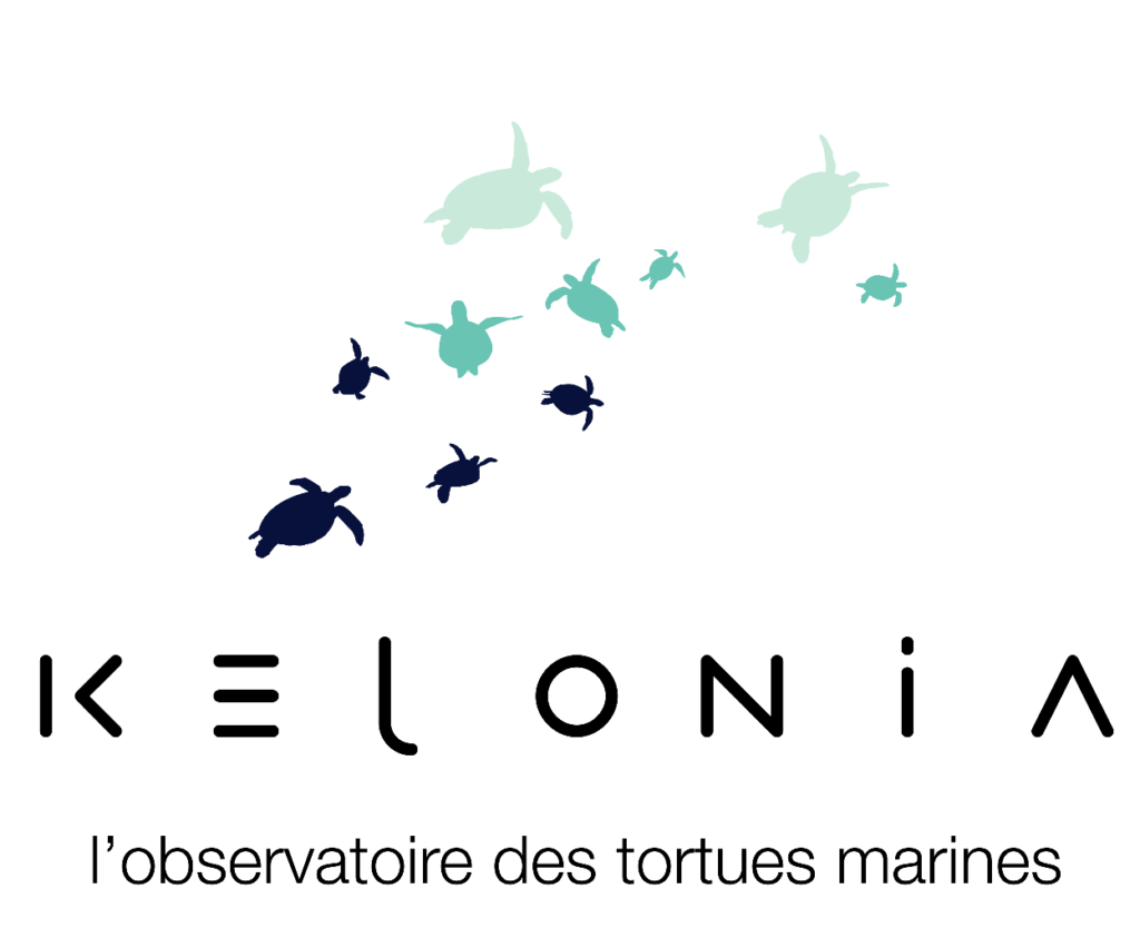 Kélonia, observatoire des tortues marines